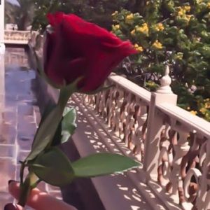 Meet your Posher, Yousra